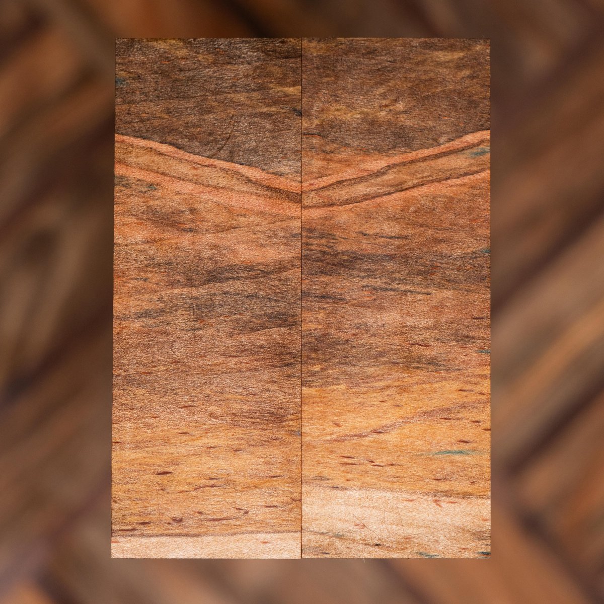 Ambrosia maple knife scales - stabilized - am-34