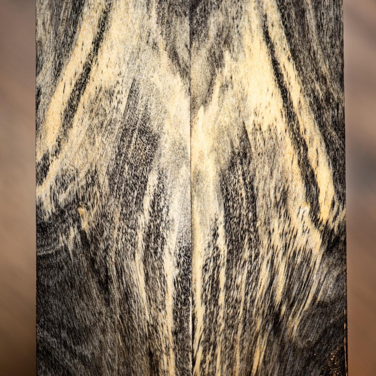 Buckeye Burl - Spalted Buckeye Knife Scales - Stabilized - burl-71