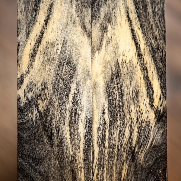 Buckeye Burl - Spalted Buckeye Knife Scales - Stabilized - burl-71